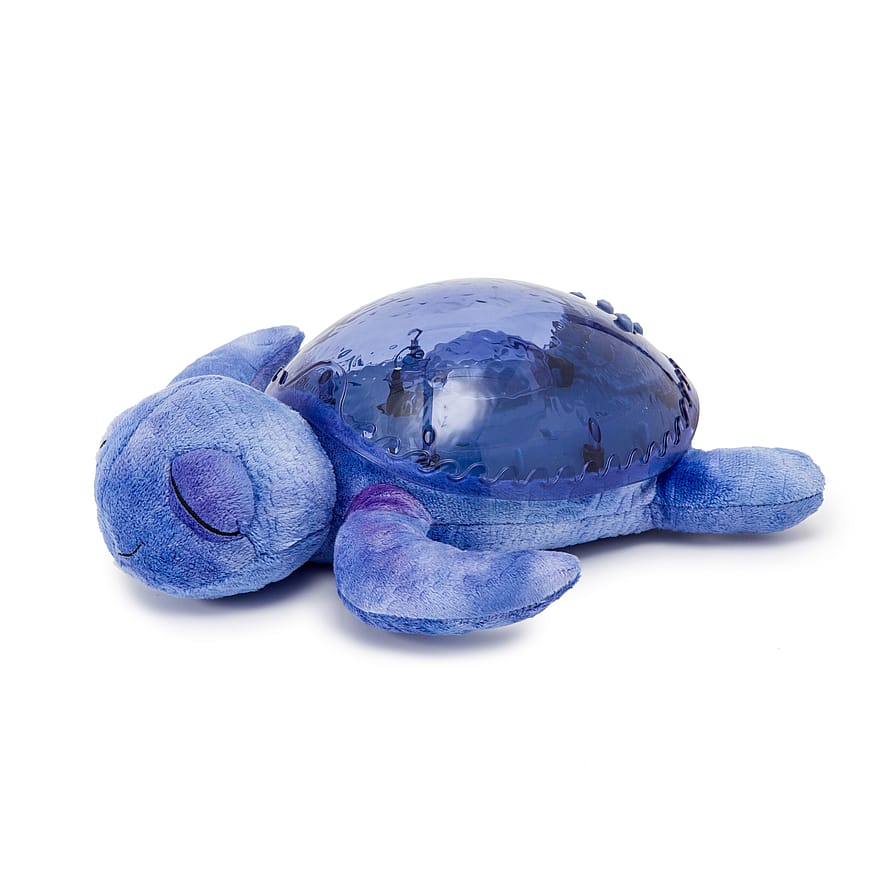 Cloud B Tranquil Turtle Ocean